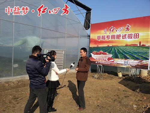 紅四方復(fù)合肥銷售中心經(jīng)理錢國(guó)祥接受采訪