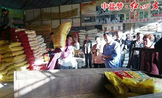 在山東金鄉(xiāng)羊山，因紅四方肥料的效果出類拔萃