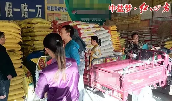 山東金鄉(xiāng)羊山，紅四方肥料的效果出類拔萃