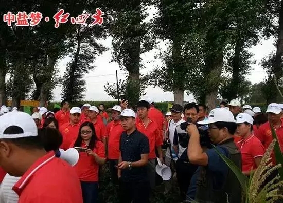 多家媒體爭相報道東北紅四方緩釋肥玉米現場觀摩會