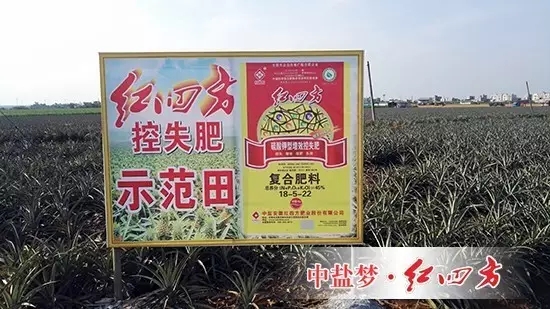我們決定對高塔肥料南方包裝袋的縫合方式進行改進，目前客戶反饋的信息非常良好，連帶著銷售積極性都增強許多。