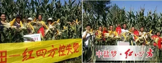 兩場(chǎng)觀摩篤定選擇