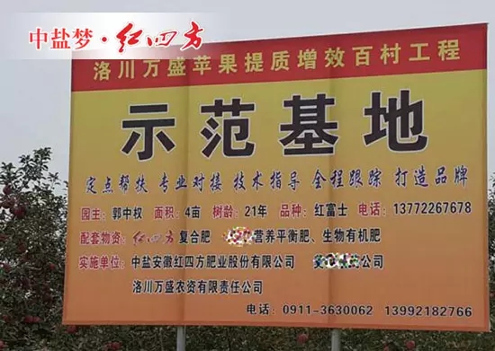 考慮到陜西市場(chǎng)蘋果種植面積的增加和蘋果需肥特性，中鹽紅四方把目光瞄準(zhǔn)了陜西的蘋果市場(chǎng)，主要做蘋果專用肥以及膨大肥的推廣，并積極參與到蘋果的全程解決方案中去。