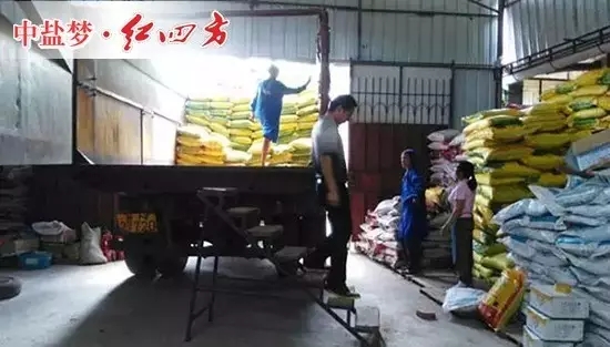 葉秀通的倉庫面積不是很大，但紅四方產(chǎn)品堆放的整整齊齊，不同的配方，不同的類別，一目了然。大伙兒正在忙著裝貨、送貨，裝卸工，庫管，發(fā)貨員，司機，忙碌有序，好不熱鬧。