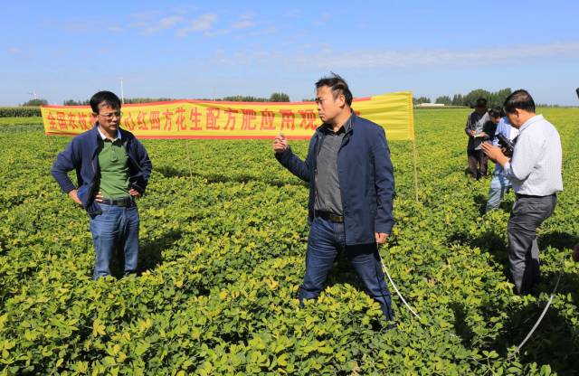 何義斌（左）與馬兵在花生示范田選點(diǎn)測量.